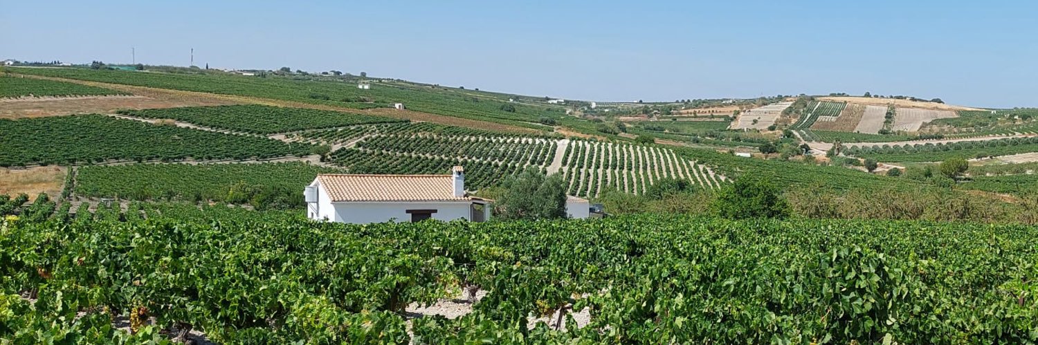 🔴| Arqueogastronomía banner