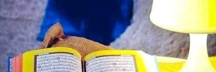momee_gombe's profile banner image