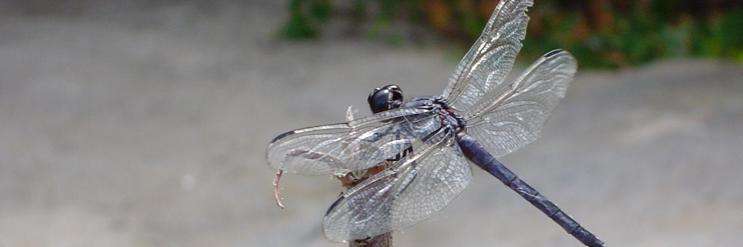Clantron_'s profile banner image