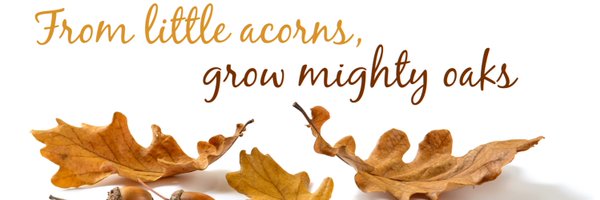 Y4Brindley Profile Banner