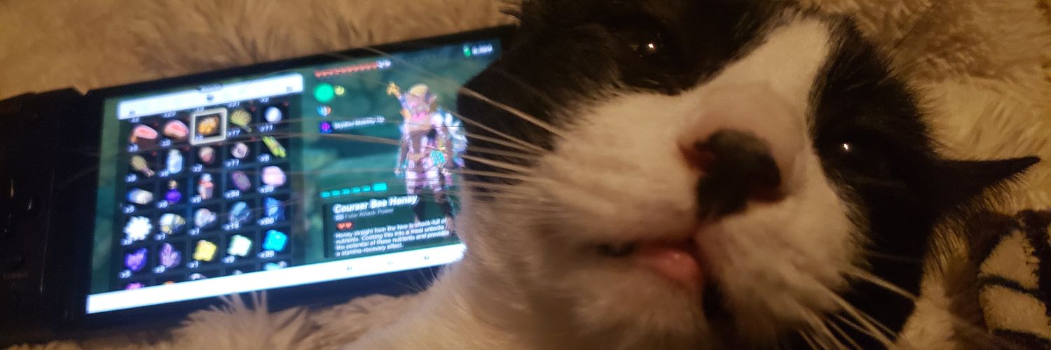 Link/Basil/Salty banner