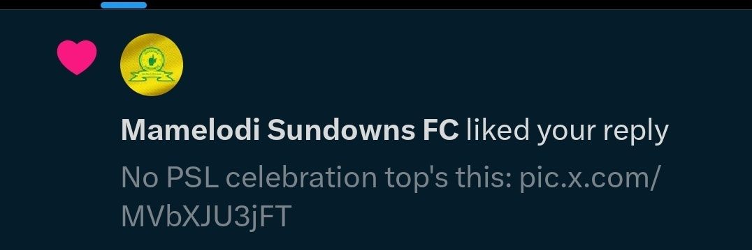 The Sundowns Stan👆🥇 banner