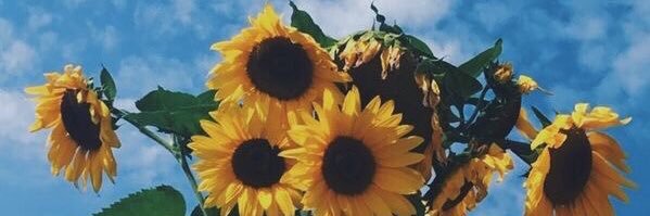 kinkyNicky_'s profile banner image