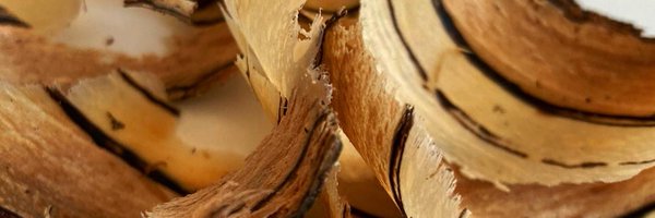 Russel_79 Profile Banner