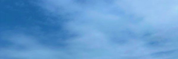 nibss Profile Banner