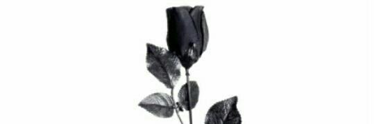 o_velhoo's profile banner image