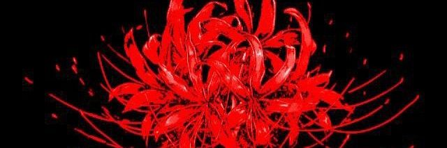 🎸 banner