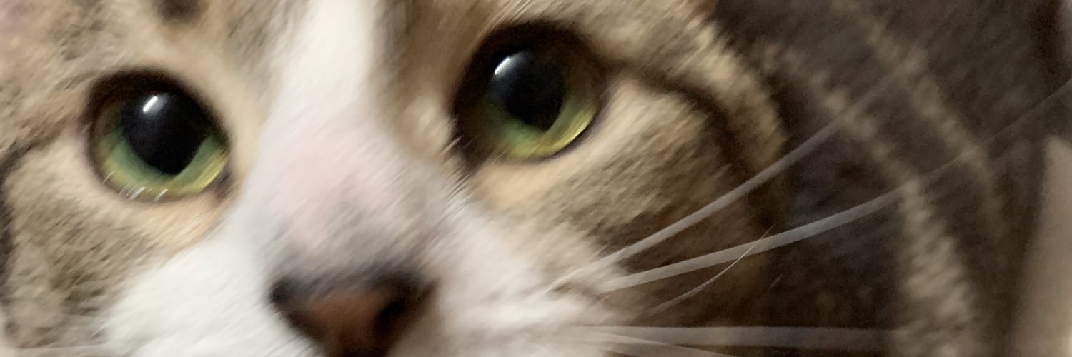 gwatson261's profile banner image