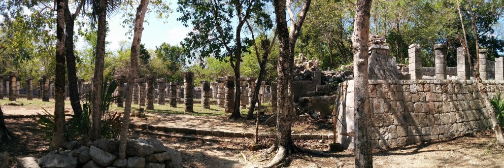 Lorena Escandon (inactive account) banner