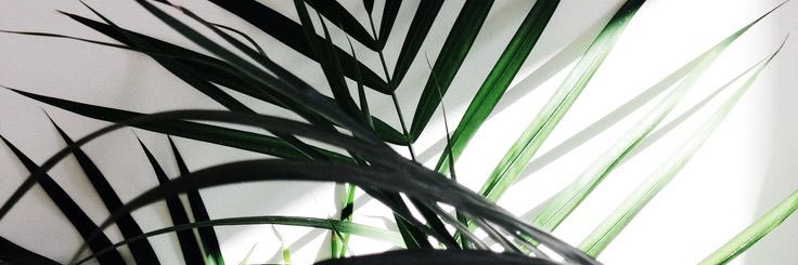 putookta's profile banner image