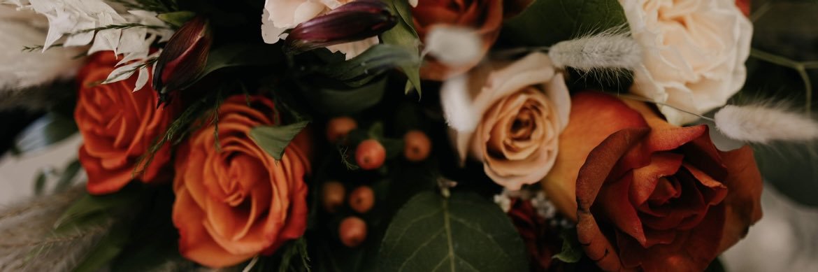 heidi_elea's profile banner image