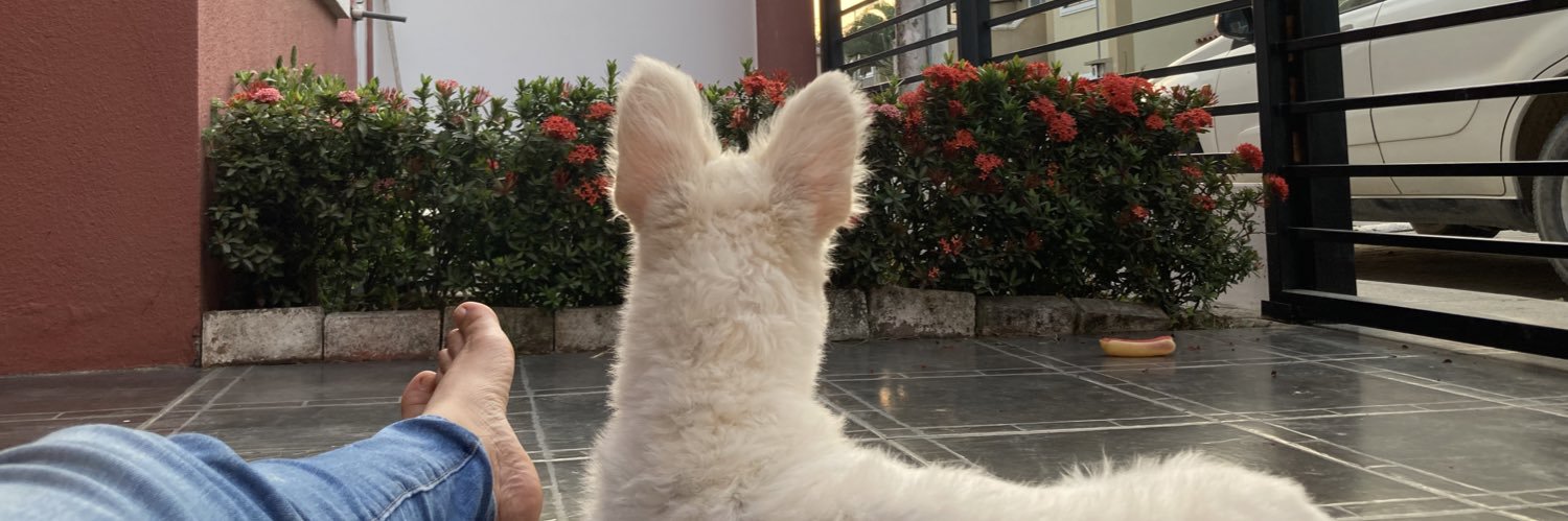 Malichitex's profile banner image