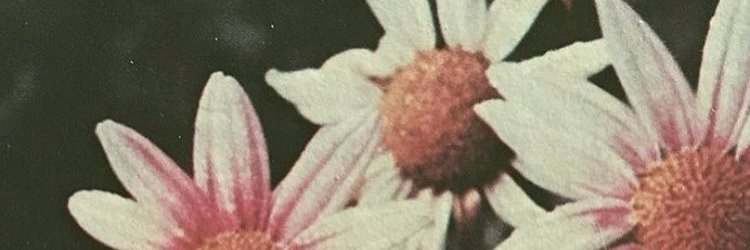 hippyaya's profile banner image