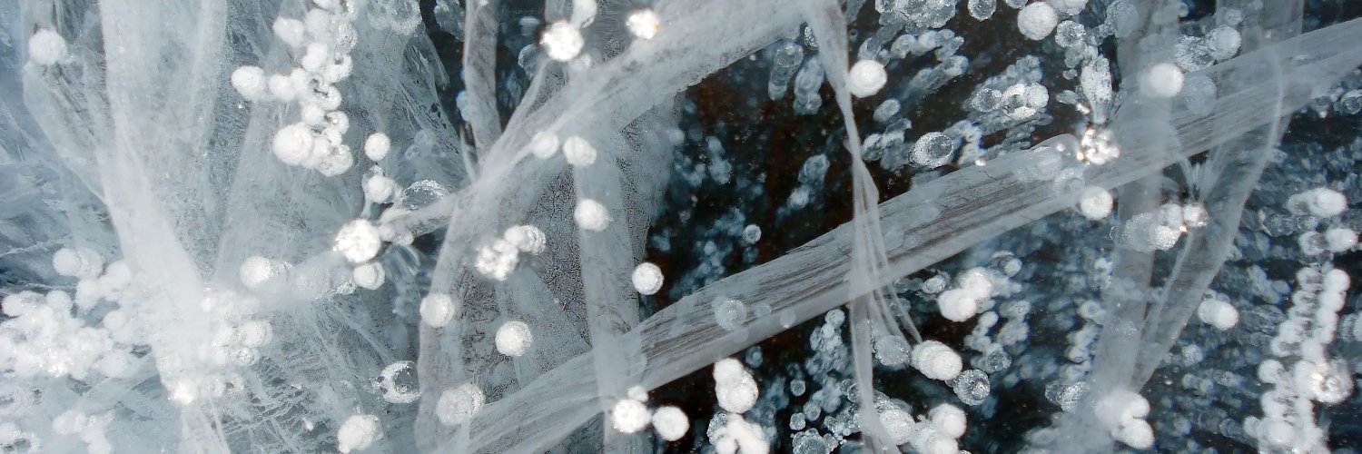 Austrian Polar Research Institute's banner
