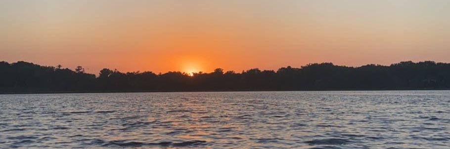 Snigdha Panda banner