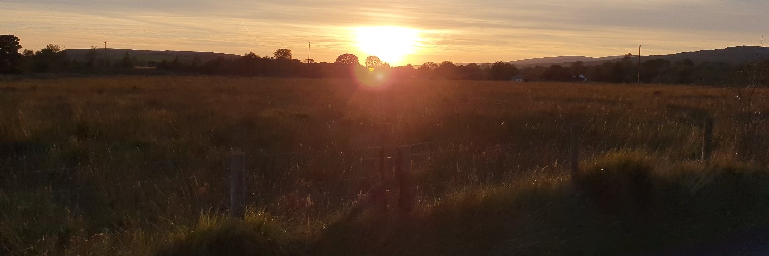 cryptoperdiem banner