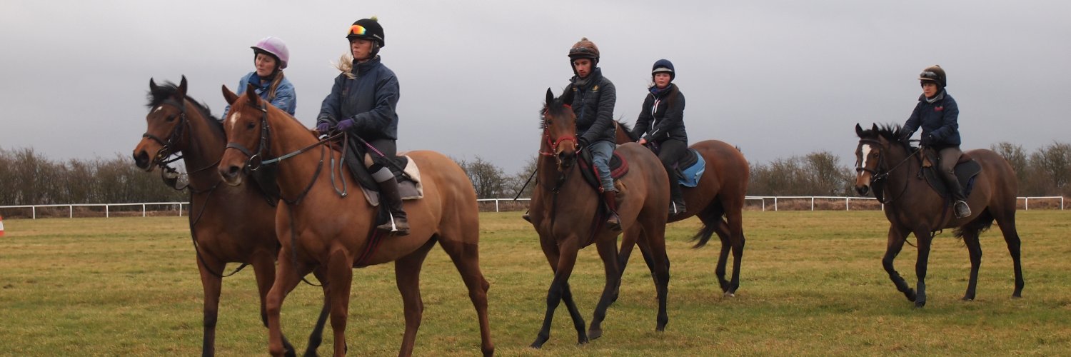 Nigel Tinkler Racing banner
