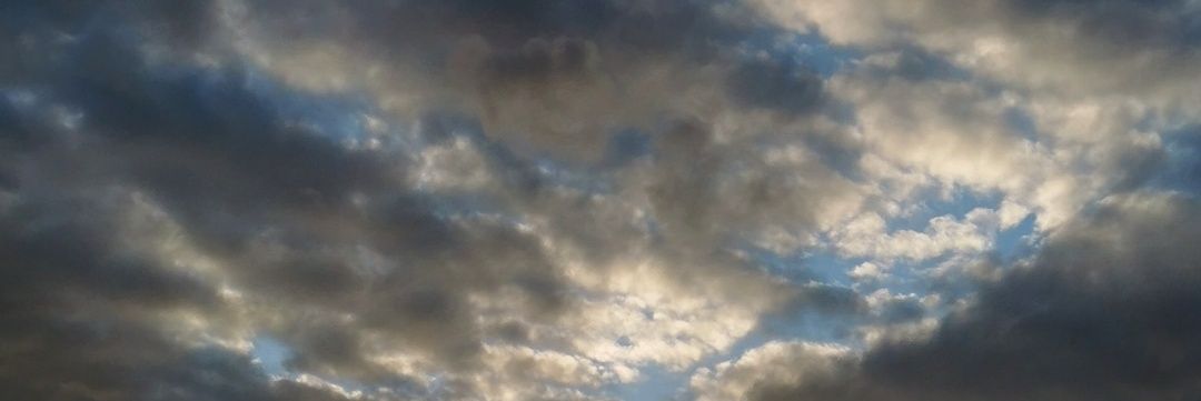 OceaneGuyot's profile banner image