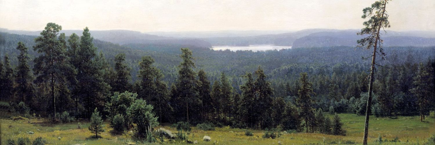 Казiмiр 🐝🌲 banner