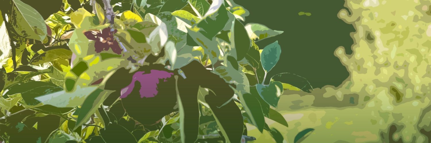 Long Island Fellows Forum banner