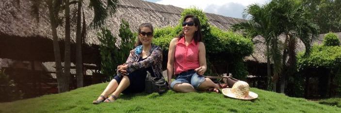 Đinh lâm ❖ banner