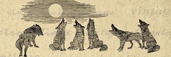 theesrw's profile banner image