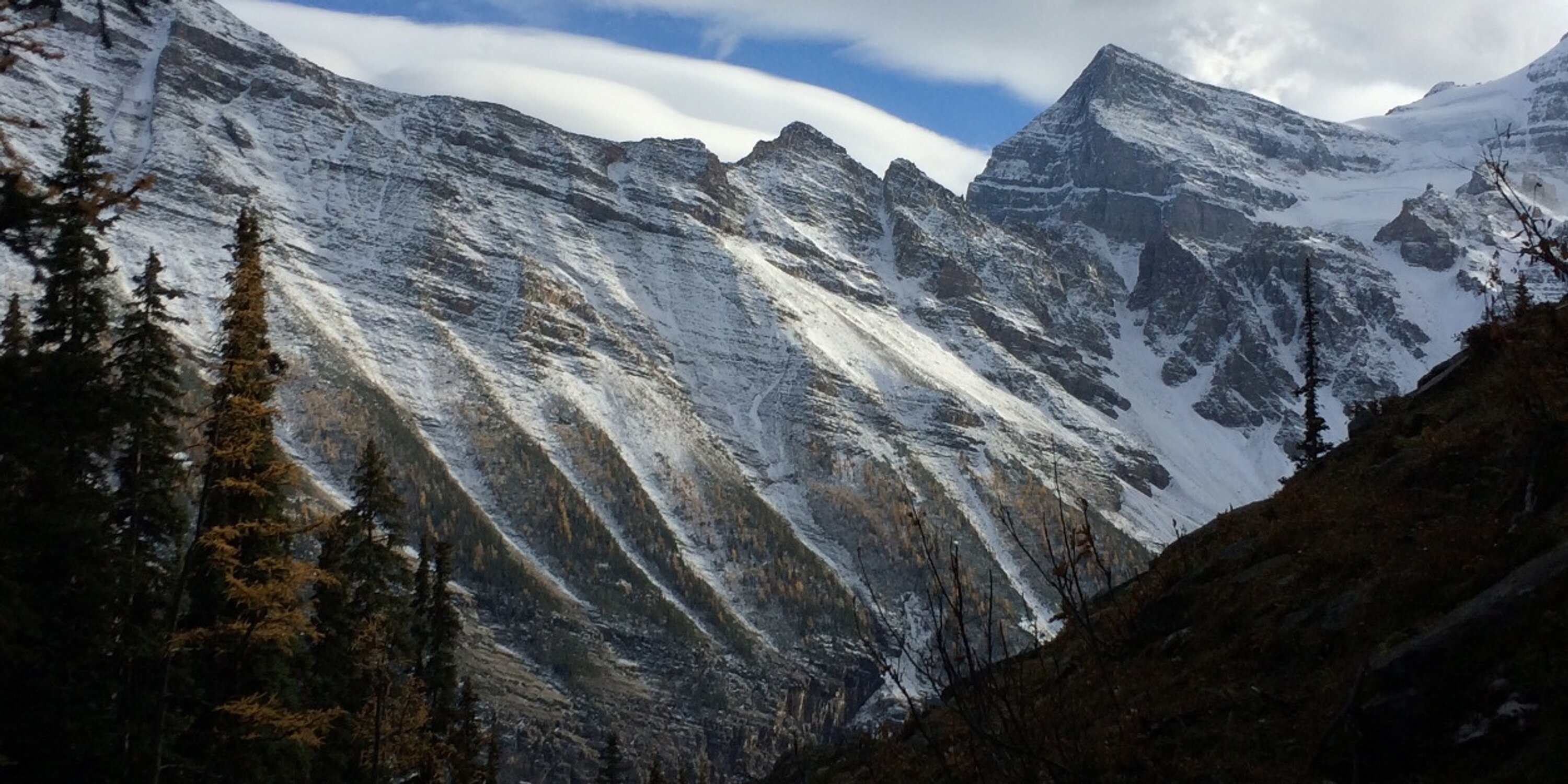 Patrick Heimbach banner