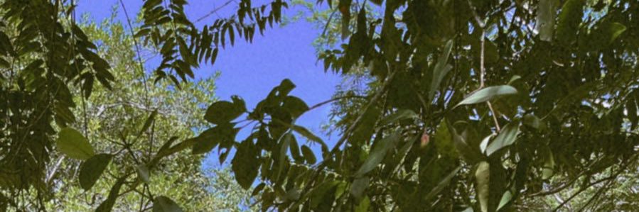 caiohmuniz's profile banner image