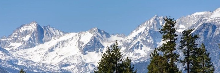 Rob D’Amico banner