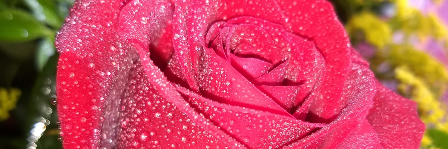 atziry54874500's profile banner image