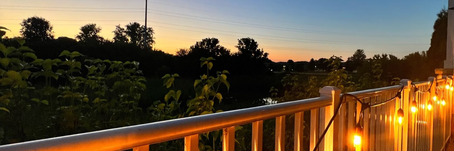 EmmyLarson's profile banner image