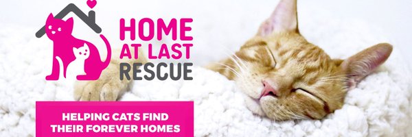 HALRescueCanada Profile Banner