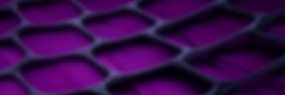 Nilam Chain banner