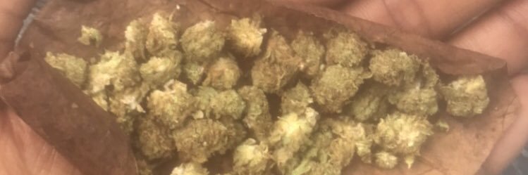 Swoskii 🥷's banner