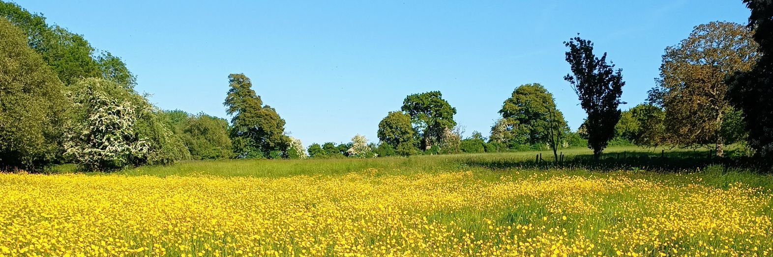 Jason 📈🚀🚢 banner