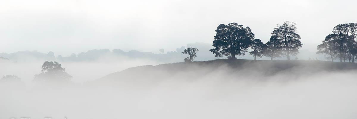 timtaphouse's profile banner image