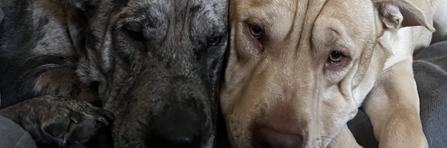 cesarpiri_'s profile banner image
