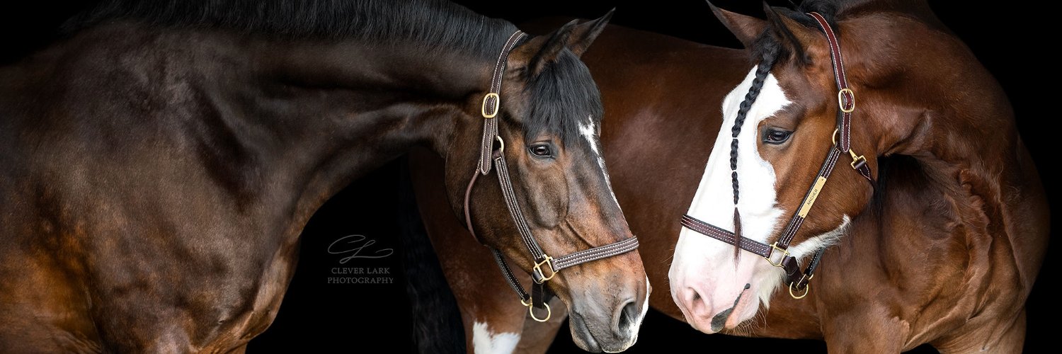 JenHurley13's profile banner image
