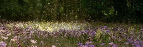 jae_closure Profile Banner