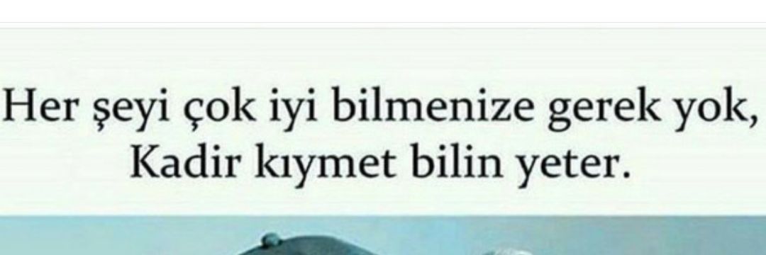 SEVDASOYER's profile banner image