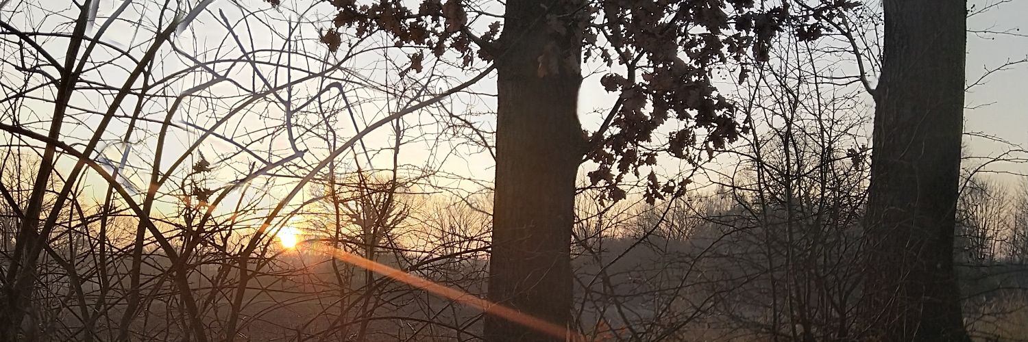 vullejack's profile banner image