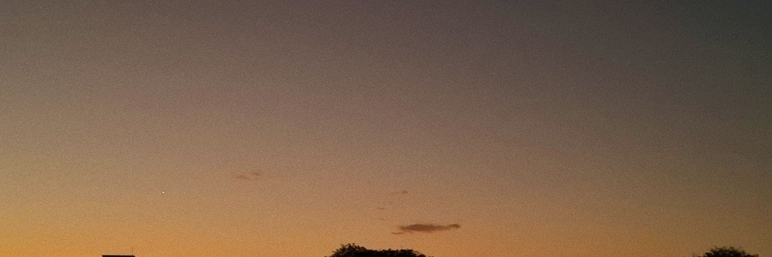 genafissore's profile banner image
