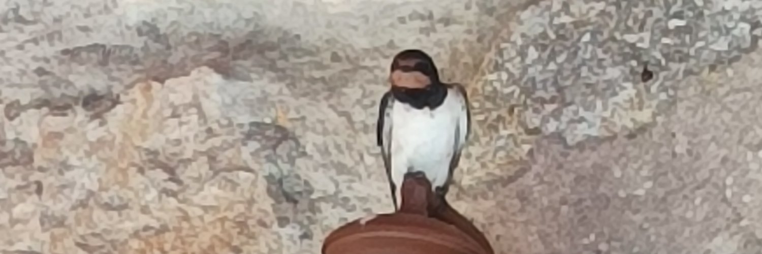 LucyB_Ds's profile banner image