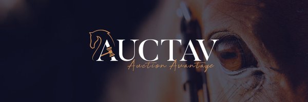 AuctavSales Profile Banner