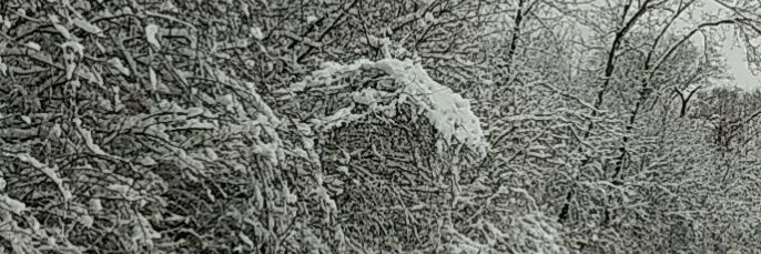 Mr. Nobody 2 U banner