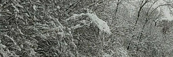 JC2PointO Profile Banner