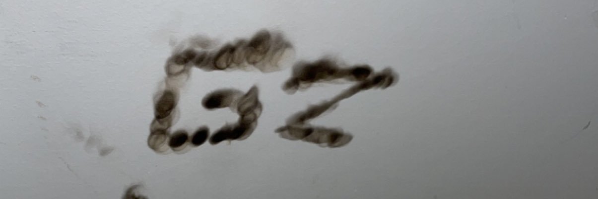 NoaNoa13014's profile banner image