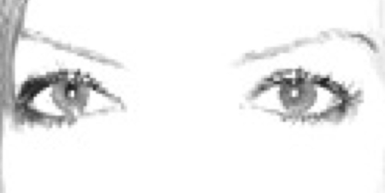 nilguncuk's profile banner image