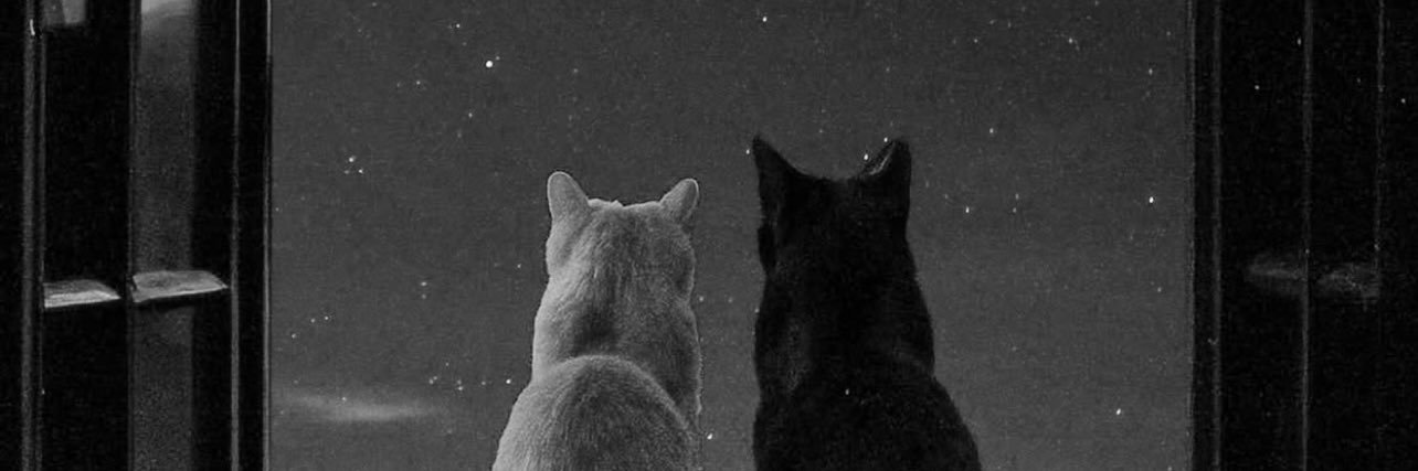 th3__m__'s profile banner image