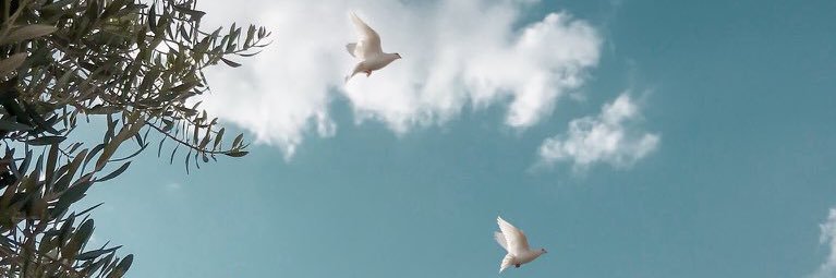 ASTAHLK_0's profile banner image